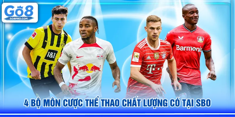 4 bộ môn cược thể thao chất lượng có tại SBO