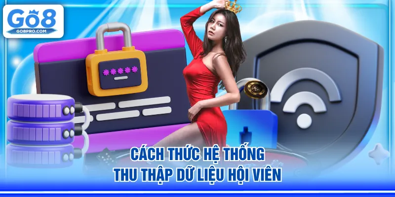 Cách thức hệ thống thu thập dữ liệu hội viên